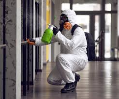 Best Mold Prevention Services in Greenville, SC